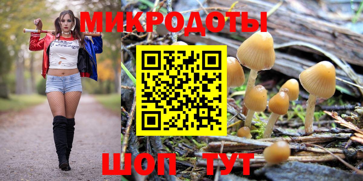 Кольчугино  даркнет сайт  Вход с VPN  Псилоцибиновые грибы MAGIC MUSHROOMS 
