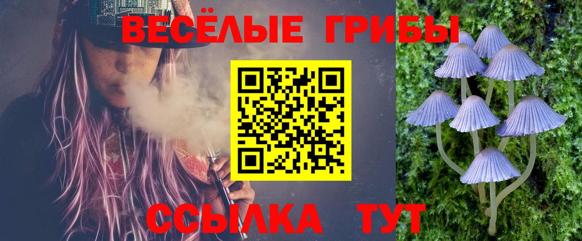 Галлюциногенные грибы прущие грибы Кольчугино